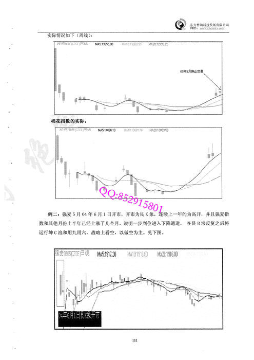 zhenakxian7.jpg